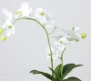 Highly simulated environmental protection ornament artificial butterfly orchid plant bonsai
