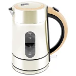 Home Appliance Factory Induction Rapid Boil Drinking Water Boiling Pot Electric Kettle 220V