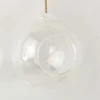 Home Decoration Clear Hanging Glass Globe Terrarium For Air Plants and Succulent