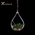 Import Home Decorative Hanging Artificial Plants Glass Pendant Vase With Rope Decoration from China