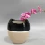 Import home decorative korean ceramic flower vase succulent pot for indoor from China