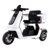 HOT SALE EEC Electric Tricycle for Adults and Disabled
