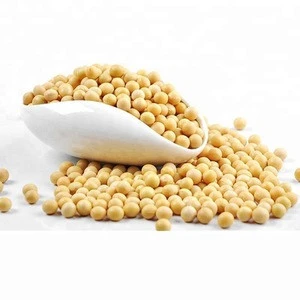 Hot sale high quality customized non gmo soybean
