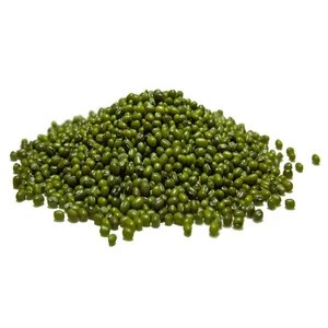 Hot Sale Organic Cultivated Green Mung Beans/Vigna