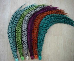 Hot Selling Cheap 100pcs Dyed Natural Pheasant Tail Feathers For Sale