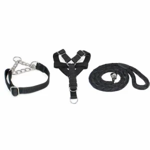 Hot Selling High Quality Pet Dog Training Accessories Collar And Leash