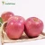 Import Hot selling wholesale fresh fuji apples exporters top grade 100% Natural Organic delicious red fresh apples from China