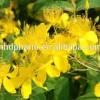 Hypericin CAS:548-04-9 // St.Johns Wort P.E. extract/Anti-oxidantion /Pharmaceutical grade/research chemicals/Nootropics