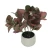 Import Indoor decoration real touch feel mini artificial tropical plants flowers bonsai from China