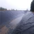 Import Infiltration prevention HDPE/LDPE/EVA geomembrane price for railway from China