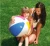 Import INTEX 59020 PVC Inflatable wholesale Glossy Panel Beach Ball from China