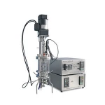 is edwardsiella a lactose fermenter,escherichia lactose fermenter,is haemophilus influenzae a lactose fermenter