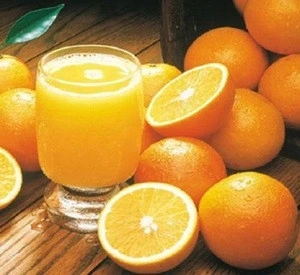 Japan Hot Selling 100% Natural Orange Fresh Fruit with Best Price