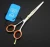 Import JOEWELL 5.0 inch/ 5.5 inch  stainless steel  hair scissors cutting scissors 4CR 62HRC Hardness with golden screw from China
