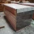 Import KEMPAS GROOVING SURFACED FOUR SIDE OR SHIPLAP FLOORING ASIAN TROPICAL SOLID HARDWOOD ORIGIN INDONESIA from China