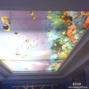 Pvc Stretch False Buy Lackfoile Pvc Stretch False Ceiling Tile from Shanghai Zon Color ...