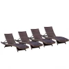 Lakeport Outdoor 2 pcs Adjustable Chaise Lounge Chair