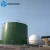 Import Large Biogas Capacity Human Waste To Produce Biogas For power Generation from China