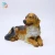 Import Large Outdoor Garden Sculpture Resin Animal Dog Statues For Sale from China