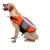 Import Lightweight Adjustable Dog Shark Fin Life Jacket Vest for Pet Summer from China
