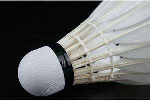 Lining A6  Badminton Shuttlecock
