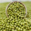 Lowest price new crop Green Mung Bean of different size.