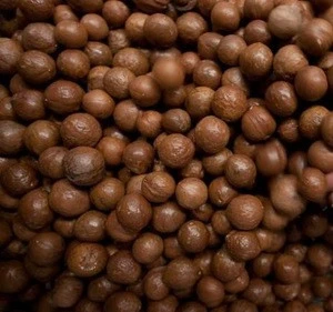 Macadamia Nuts / Macadamia Nuts Kernels