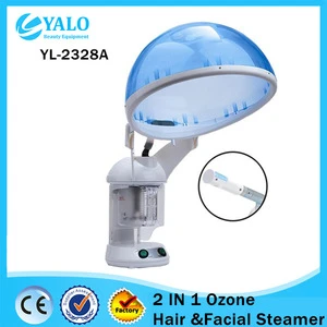 Made In China High-Tech Product Ion Facial Skin Ion Steamer