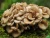 Import Maitake Extract Maitake Mushroom Powder Grifola Frondosa Musrhoom Extract from China
