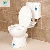 Manufacturer customized smart intelligent toilet bowl