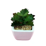 Manufacturers simulation tree plants indoor plants wholesale home decoration Artificial plant
