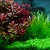 Import marine reef lighting Chihiros RGB VIVID 2 three primary colors mixed full spectrum color red grass led aquarium light for coral from China