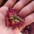 Import Mei gui hua Yunnan natural dried Strong fragrance whole rose flowers tea from China