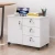 Import Movable  file cabinet office cabinet home office cabinet from China