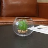 Multi-size round glass vase transparent green plants hydroponic fish tank vase