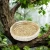 Import Natural Handmade Bird Nest for Breeding Parrot Grass Woven Scratcher Tree from China