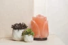 Natural Himalayan Salt Lamp Hand Carved Flower Rose 7 - 10 lbs Pink Hand Crafted Wood Base