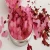 Import Natural Rose Scent Bath SPA Pink Crystal Himalayan Salt from China