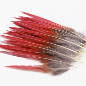 New 10pcs/Lot Beautiful Natural Peacock Feather Pheasant Feathers Plume Jewelry Christmas Holiday Decoration Optional