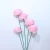 Import New Arrival Handmade Flower Diffuser Small Decorative Artificial Foam Small Sola Flowers Decoration Home Decor for All Party 20g from China