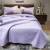 Import New Cool Silk Summer Quilt Machine Washable Single and Double Student Dormitory Summer Quilt Ice Silk Air Conditioning from China