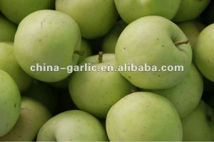 New Crop Apples/Green Apple/Gala Apple