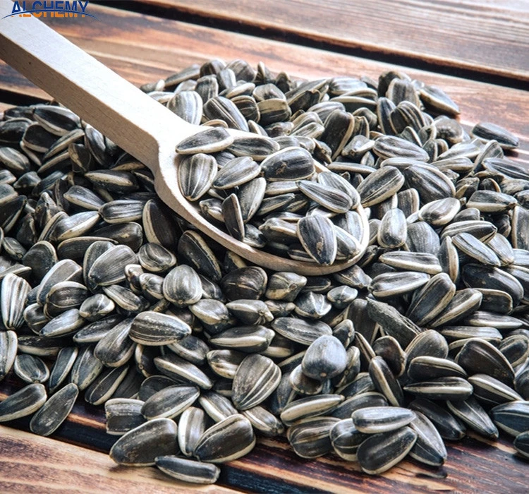 new crops organic Sunflower seeds in China