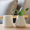 New Design Ceramic & Porcelain Vases For Home Decor Flower Vase Ceramic Modern Vase Decoration