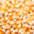 Import Non Gmo Yellow Corn For Sale from Canada