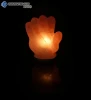 OdontoMed2011 HIMALAYAN HAND SHAPE GLOW HAND CRAFTED NATURAL CRYSTAL SALT LAMP