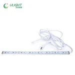 OEM IP68 Swimming Pool LED Aluminum Strip 30CM 50cm 100cm 3528 60LEDs/meter 12V Bar Strip Light