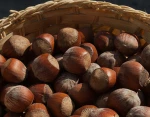 Organic Hazelnut high quality