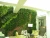 Import Outdoor use artificial decorative wall grass plants from China