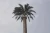 Import Palm frond for camouflaged telecom towers from China